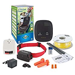 invisible dog fence from PetSafe - Wired