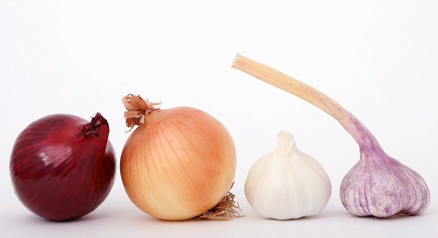 Is garlic safe for dogs - garlic cloves - onions