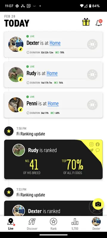 Fi App - where are the dogs right now