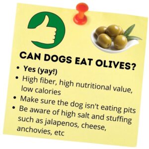 Can dogs eat olives