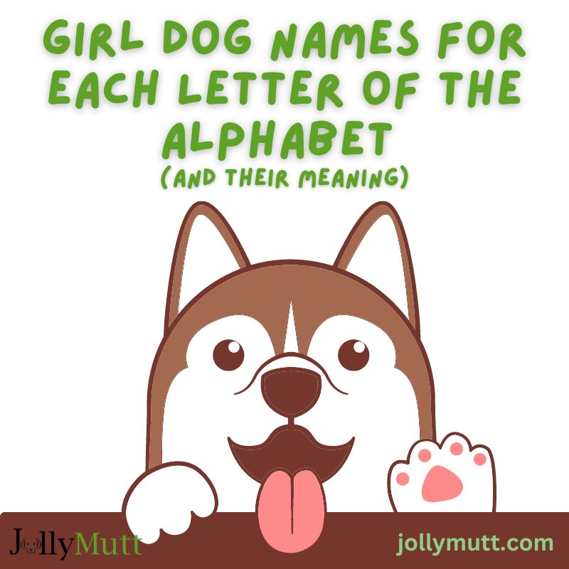 Girl dog names for each letter of the alphabet