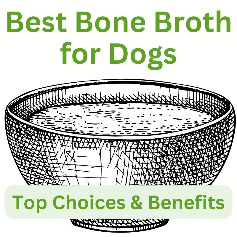 Best bone broth for dogs