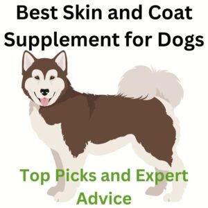 Best skin and coat supplements for dogs