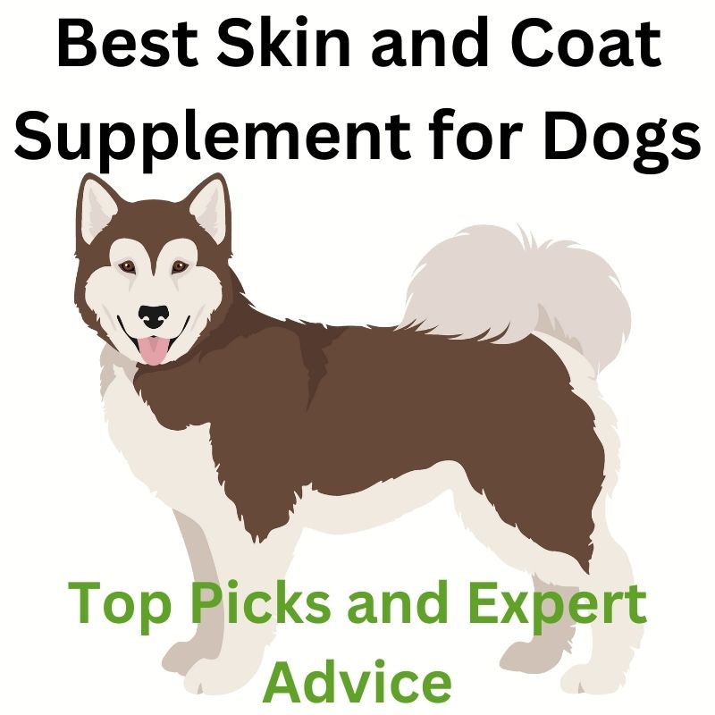 Best skin and coat supplements for dogs